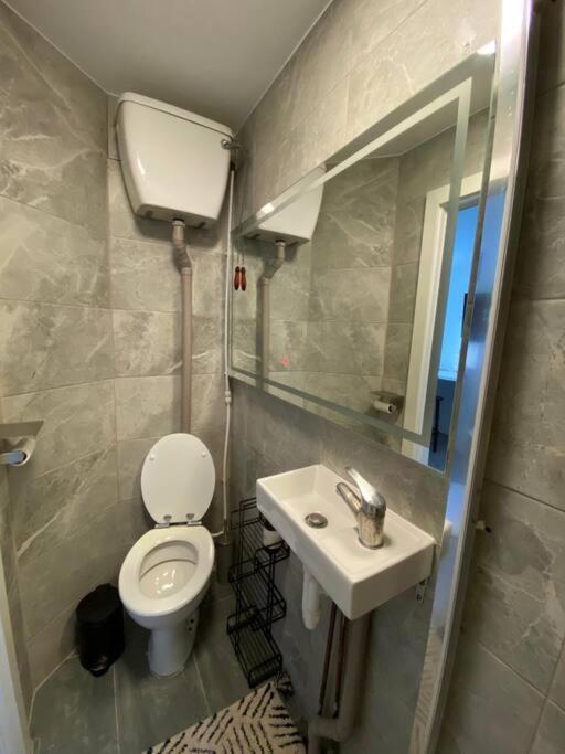One Bedroom Putney Village Flat لندن المظهر الخارجي الصورة