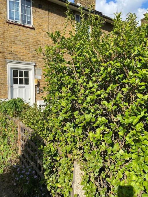 One Bedroom Putney Village Flat لندن المظهر الخارجي الصورة