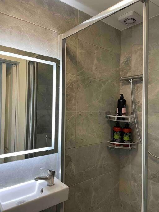 One Bedroom Putney Village Flat لندن المظهر الخارجي الصورة