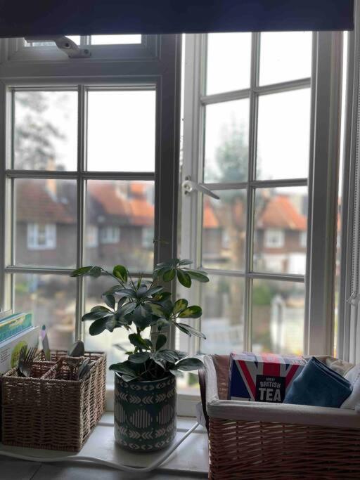 One Bedroom Putney Village Flat لندن المظهر الخارجي الصورة