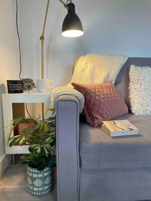 One Bedroom Putney Village Flat لندن المظهر الخارجي الصورة