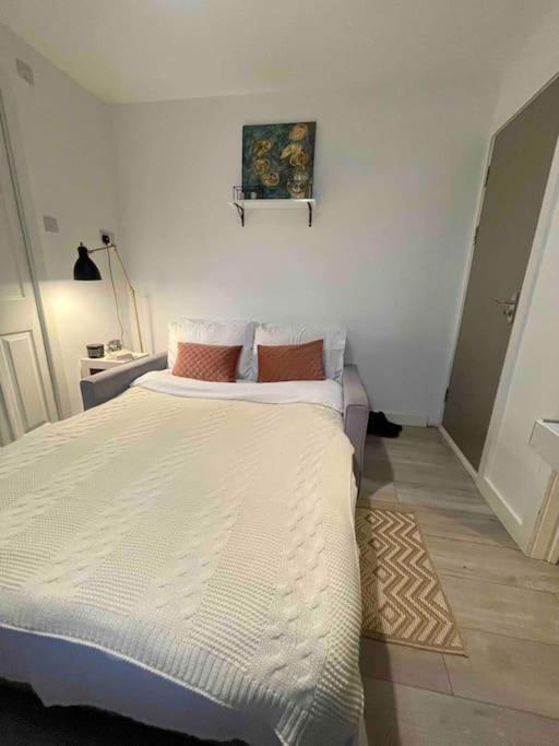 One Bedroom Putney Village Flat لندن المظهر الخارجي الصورة